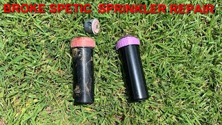 How to replace a broke septic sprinkler head [upl. by Malorie]