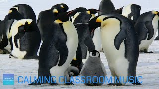 Relaxing Music For Elementary Classroom  Snow Animals  Calming classroom music for children [upl. by Jen]