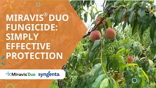 Miravis® Duo fungicide Simply effective protection [upl. by Barnabas]