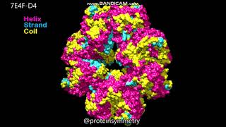 7E4F  Dihedral D4 symmetry  Molecular surfaces [upl. by Assena]