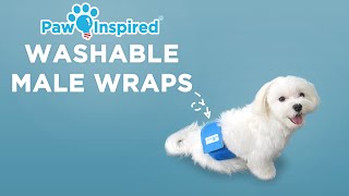 Washable Male Wraps  Paw Inspired® Reusable Belly Bands [upl. by Johppah596]