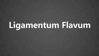 How To Pronounce Ligamentum Flavum [upl. by Nwahsaj813]