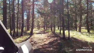 Trails around Big Lake and Caldwell cabin [upl. by Hareemas]