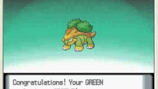 HD pokemon diamondpearl TURTWIG evolve in to GROTLE [upl. by Adamis]