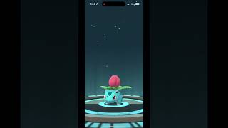 dynamax Bulbasaur evolve into Ivysaur pokemon pokemongo [upl. by Liba]