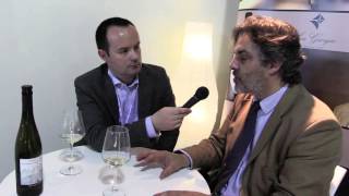 Guido Folonari Philarmonica Vinitaly 2016 Beverfoodcom Intervista [upl. by Varin]