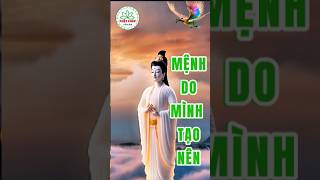 Mệnh do mình tạo nên loiphatday phatphap budhha baihoccuocsong [upl. by Gherardi]