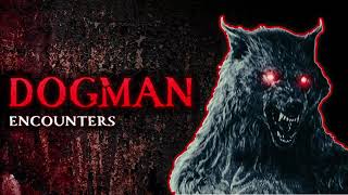 35 SCARY STORIES OF DOGMAN ENCOUNTERS [upl. by Einattirb]