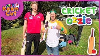 Cricket For Kids  Cricket Skills for Beginners  Jack Edwards Sydney Sixers BBL  Ozzie Keen Cut [upl. by Calandra]