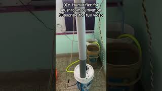 DIY Humidifier For Mushroom Cultivation  Low cost  Noise less  100 useful mushroomfarming [upl. by Sells]