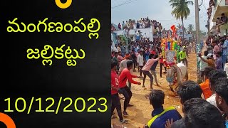 Manganam Palli Jallikattu  Andhra Jallikattu Jallikattu 2024 [upl. by Euqinu631]