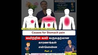 Vid 2  Stomach Pain Stomach Pain Explained in Tamil  வயிற்று வலிக்கான காரணங்கள் என்ன [upl. by Latterll]