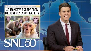 Weekend Update 43 Monkeys Escape Research Facility Moo Dengs New Rival  SNL [upl. by Ennaira]