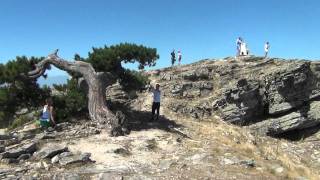 Thassos Jeep Safari [upl. by Matthieu113]