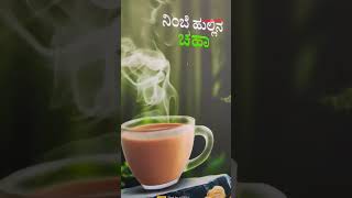 SALGARCHAICOFFEENIDGUNDI newsong salgar tea trendingreelstrending tealovertealovers chai [upl. by Gnous]