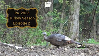 2023 Pa Turkey season  Day 1 2 amp 3  Episode 2 [upl. by Cas]