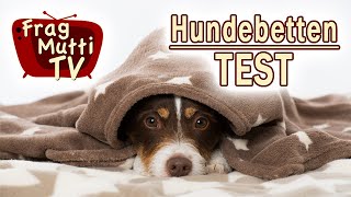 Hundebetten im Vergleich Stoff vs Kunstleder  Frag Mutti TV [upl. by Clair]