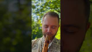 Moment der Achtsamkeit • Flötenmusik • Naturmusik flute meditation shorts [upl. by Sutton]