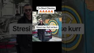 STRESI DISS CLLEVIO [upl. by Rozele15]