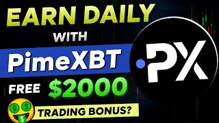 Crypto Bull Market Started  Copy Trade With Daily Profit In PrimeXBT  Free 2800 Bonus In PrimeXBT [upl. by Ecidnak190]