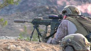 Marines Intensify Ground Assaults in Twentynine Palms Exercise Service Level 224 [upl. by Yzmar186]