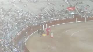 Bullfighting in Madrid of Spain [upl. by Ester42]