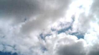 White Tailed Sea Eagle soaring at the Falconry Centre  Thirsk [upl. by Claiborne]