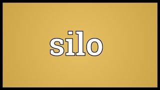 Silo Meaning [upl. by Atauqal704]