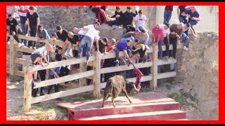 ARGUEDAS  NAVARRA  TARDE ENCIERRO DEL ESTRECHO  SABADO 8 ABRIL 2023  GANADUSTARROZ [upl. by Jayme842]