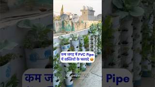 कम जगह में PVC Pipe में सब्ज़ियों के ये फायदे जान लो 😍 8527353130 [upl. by Fayina]