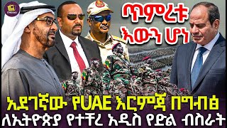 ጥምረቱ እውን ሆነ  አደገኛው የUAE እርምጃ በግብፅ  ለኢትዮጵያ የተቸረ አዲስ የድል ብስራት construction finance [upl. by Mahoney457]