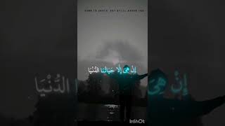 القرانالكريمتصميمكربلاءفلسطيناميرالمؤمنينفلسطين [upl. by Anitteb]