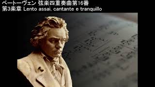 バリリ四重奏団 ベートーヴェン 弦楽四重奏曲第16番 作品135 Beethoven String Quartet No 16 Barylli Quartett 1952 [upl. by Arutnev]