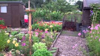 Allotments Moncrieffe Island River Tay Perth Perthshire Scotland [upl. by Annice629]