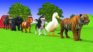 Paint amp Animals TigerDuckGorillaLionElephantCow Fountain Crossing Transformation Animal Cartoon [upl. by Sair]