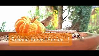 Schöne Herbstferien [upl. by Beekman]