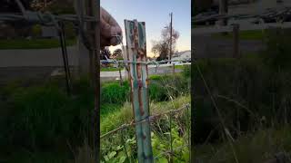 Barb Wire Fence Ties ⛓️shorts barbwire security [upl. by Filmer838]