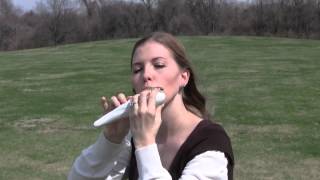 Rohan Theme from the Lord of the Rings on STL Ocarina [upl. by Taryne]