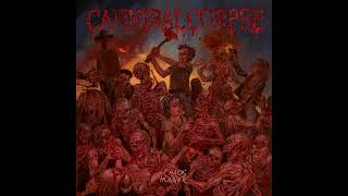 Cannibal Corpse  Vengeful Invasion [upl. by Esirahs]