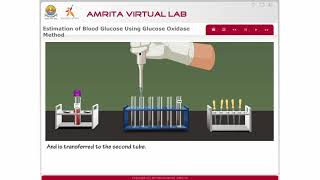 Estimation of Blood Glucose by Glucose Oxidase Method [upl. by Narra]