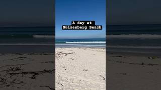 A trip to Muizenberg Beach beachlovers adventure muizenberg capetown southafrica lifestyle [upl. by Esilrac26]