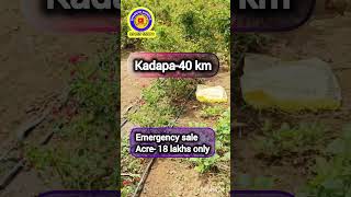 15 Acres land sale  Acre 18 lakhs only  kadapa district  kadapa40 km [upl. by Sophie29]