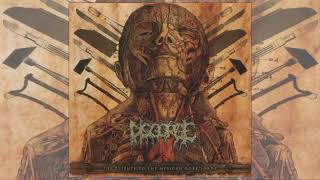 Viscera Infest  2 tracks tributo a disgorge [upl. by Ulrikaumeko146]