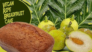 Vegan Ripe Breadfruit Cake [upl. by Malloch]