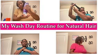 My Wash Day Routine for Fine Thin Natural Hair  How to  Over 40  Dionne’s Life [upl. by Hnao551]