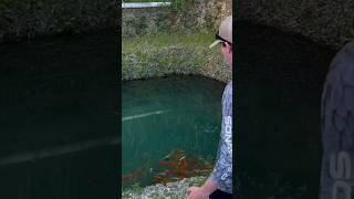 I Found an Abandoned Pet Store abandoned pet animal fish rescue bassfishingproductions [upl. by Sesiom]