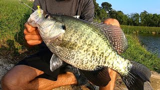 NEW CRAPPIE BAIT catches SLABS [upl. by Atirak]