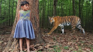 tiger attack man in the forest  tiger attack in jungle royal bengal tiger attack [upl. by Euqnom403]