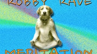 ROBBY RAVE  meditation [upl. by Arenahs]