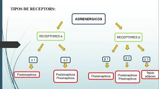 CICLO DE VIDA DE RECEPTORES FARMACOLÓGICOS [upl. by Donny542]